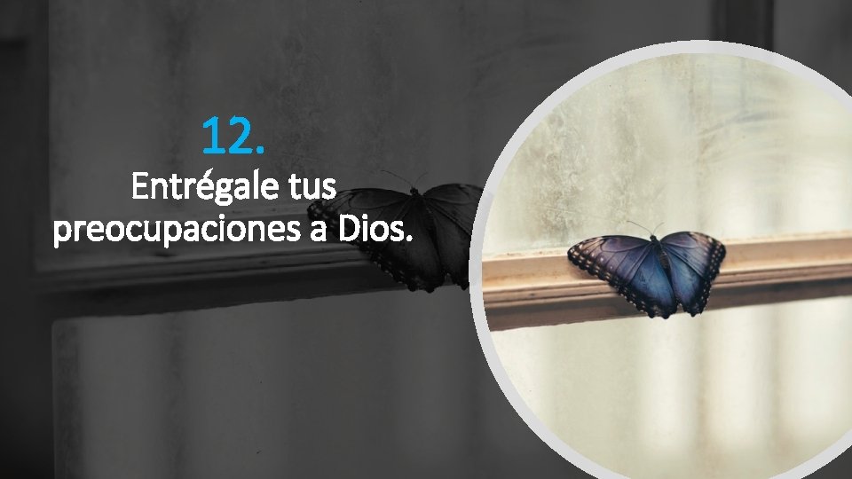 12. Entrégale tus preocupaciones a Dios. 12. Entrégale tus preocupaciones a Dios.