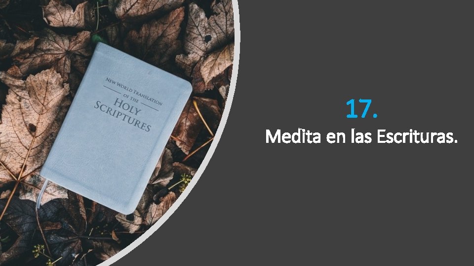 17. Medita en las Escrituras. 17. Medita en las Escrituras.