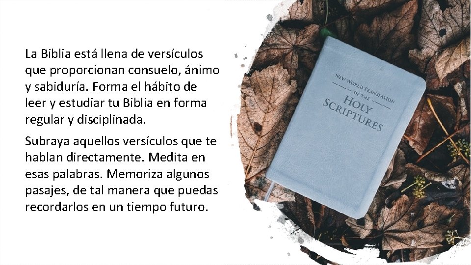 La Biblia está llena de versículos que proporcionan consuelo, ánimo y sabiduría. Forma el La Biblia está llena de versículos que proporcionan consuelo, ánimo y sabiduría. Forma el