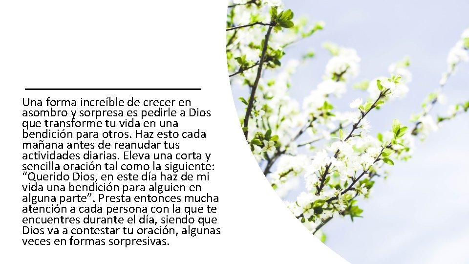 Una forma increíble de crecer en asombro y sorpresa es pedirle a Dios que Una forma increíble de crecer en asombro y sorpresa es pedirle a Dios que