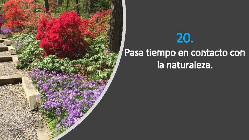 20. Pasa tiempo en contacto con la naturaleza. 20. Pasa tiempo en contacto con la naturaleza.