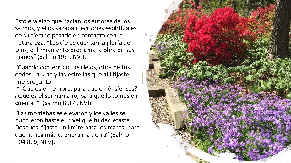 Esto era algo que hacían los autores de los salmos, y ellos sacaban lecciones Esto era algo que hacían los autores de los salmos, y ellos sacaban lecciones