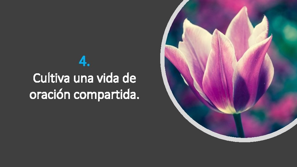 4. Cultiva una vida de oración compartida. 4. Cultiva una vida de oración compartida.