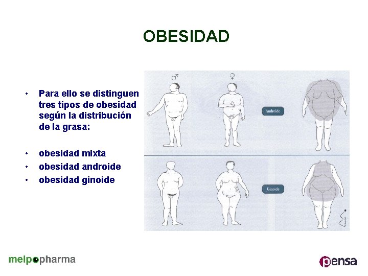OBESIDAD • Para ello se distinguen tres tipos de obesidad según la distribución de