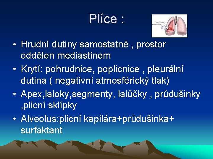 Plíce : • Hrudní dutiny samostatné , prostor oddělen mediastinem • Krytí: pohrudnice, poplicnice