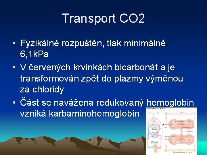 Transport CO 2 • Fyzikálně rozpuštěn, tlak minimálně 6, 1 k. Pa • V