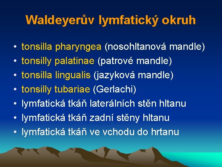 Waldeyerův lymfatický okruh • • tonsilla pharyngea (nosohltanová mandle) tonsilly palatinae (patrové mandle) tonsilla