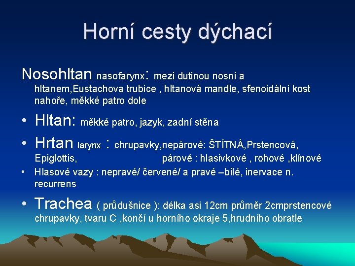 Horní cesty dýchací Nosohltan nasofarynx: mezi dutinou nosní a hltanem, Eustachova trubice , hltanová