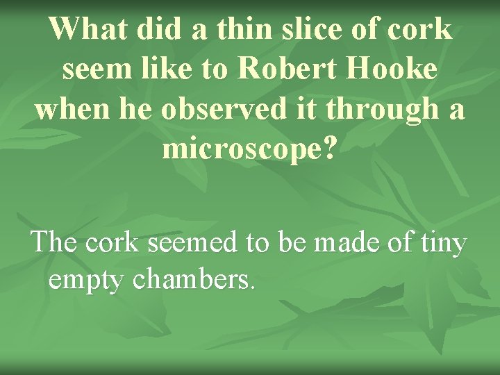 What did a thin slice of cork seem like to Robert Hooke when he