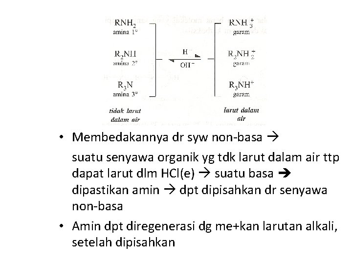  • Membedakannya dr syw non-basa suatu senyawa organik yg tdk larut dalam air