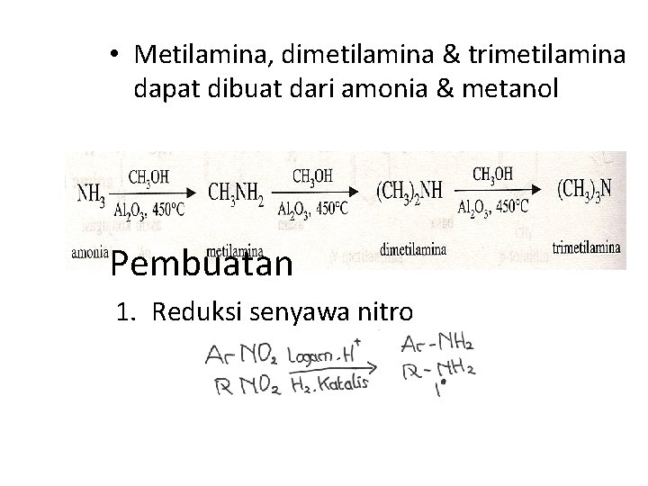  • Metilamina, dimetilamina & trimetilamina dapat dibuat dari amonia & metanol Pembuatan 1.