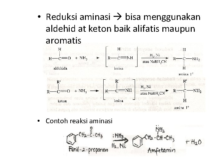  • Reduksi aminasi bisa menggunakan aldehid at keton baik alifatis maupun aromatis •