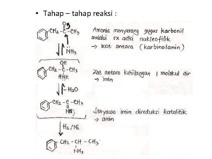  • Tahap – tahap reaksi : 