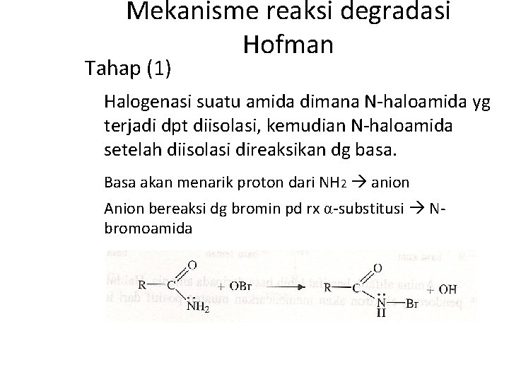 Mekanisme reaksi degradasi Hofman Tahap (1) Halogenasi suatu amida dimana N-haloamida yg terjadi dpt