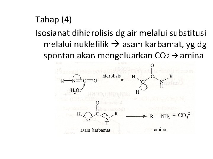 Tahap (4) Isosianat dihidrolisis dg air melalui substitusi melalui nuklefilik asam karbamat, yg dg