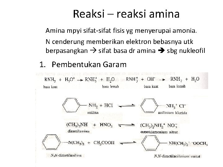 Reaksi – reaksi amina Amina mpyi sifat-sifat fisis yg menyerupai amonia. N cenderung memberikan