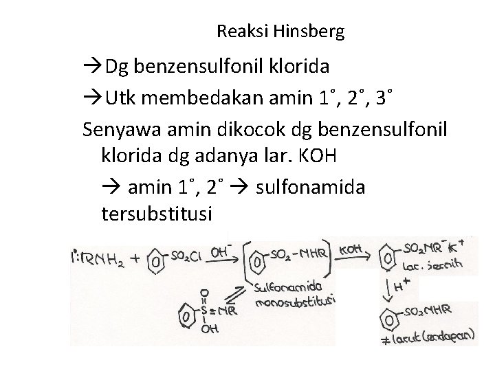 Reaksi Hinsberg Dg benzensulfonil klorida Utk membedakan amin 1˚, 2˚, 3˚ Senyawa amin dikocok