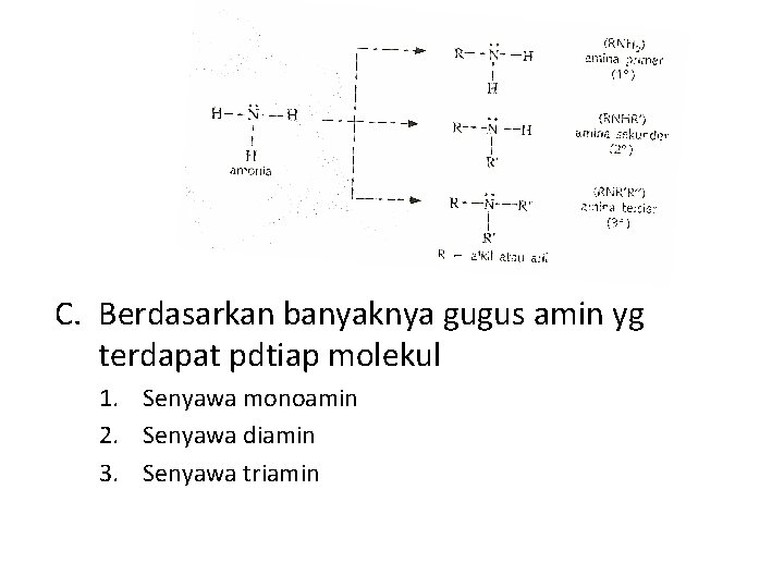 C. Berdasarkan banyaknya gugus amin yg terdapat pdtiap molekul 1. Senyawa monoamin 2. Senyawa