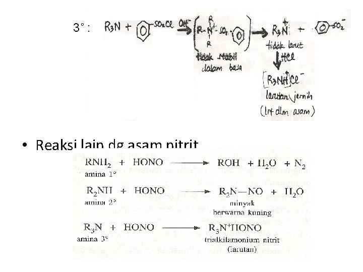 3˚ : • Reaksi lain dg asam nitrit 