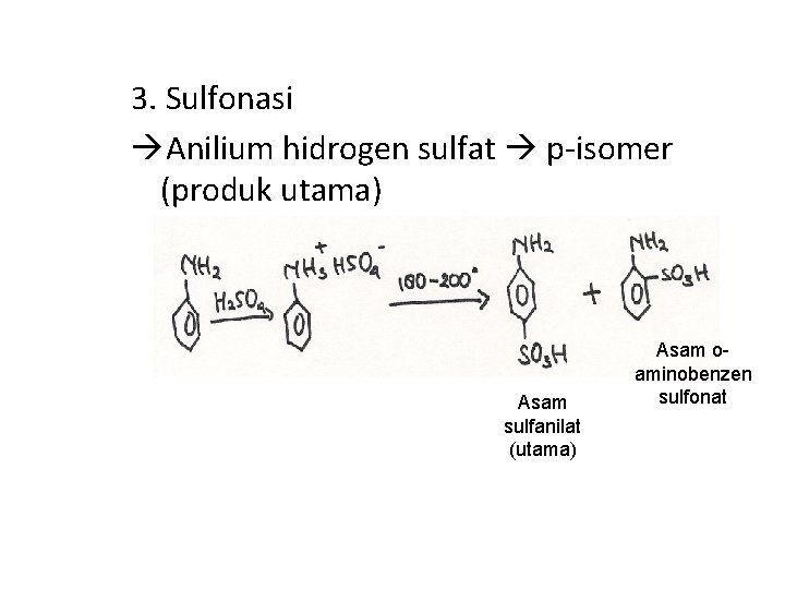 3. Sulfonasi Anilium hidrogen sulfat p-isomer (produk utama) Asam sulfanilat (utama) Asam oaminobenzen sulfonat