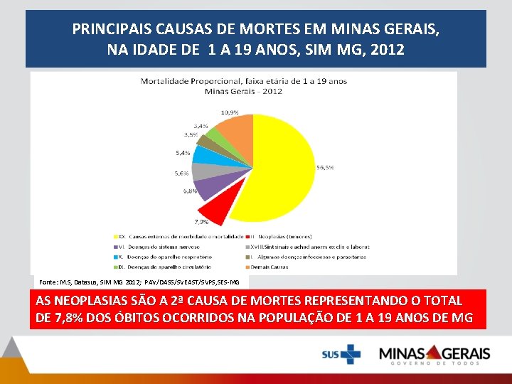 PRINCIPAIS CAUSAS DE MORTES EM MINAS GERAIS, NA IDADE DE 1 A 19 ANOS,