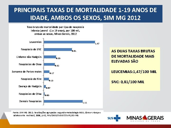PRINCIPAIS TAXAS DE MORTALIDADE 1 -19 ANOS DE IDADE, AMBOS OS SEXOS, SIM MG