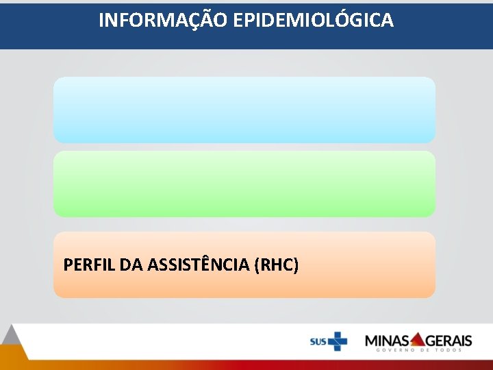INFORMAÇÃO EPIDEMIOLÓGICA PERFIL DA ASSISTÊNCIA (RHC) INFORMAÇÃO EPIDEMIOLÓGICA PERFIL DA ASSISTÊNCIA (RHC)