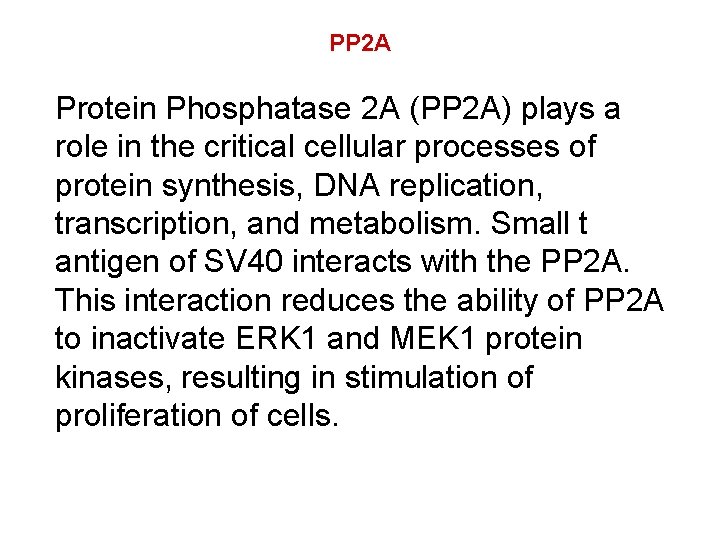 PP 2 A Protein Phosphatase 2 A (PP 2 A) plays a role in