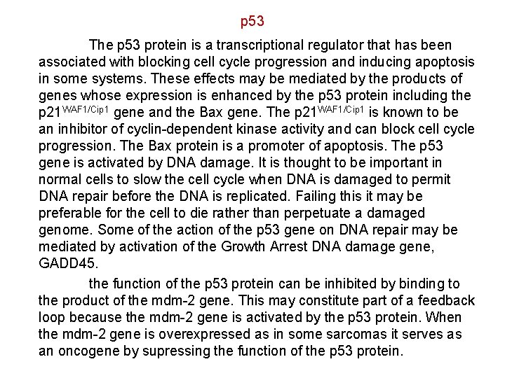 p 53 The p 53 protein is a transcriptional regulator that has been associated