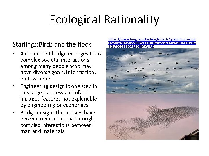 Ecological Rationality Starlings: Birds and the flock • A completed bridge emerges from complex