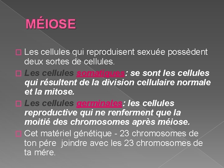 MÉIOSE Les cellules qui reproduisent sexuée possèdent deux sortes de cellules. � Les cellules