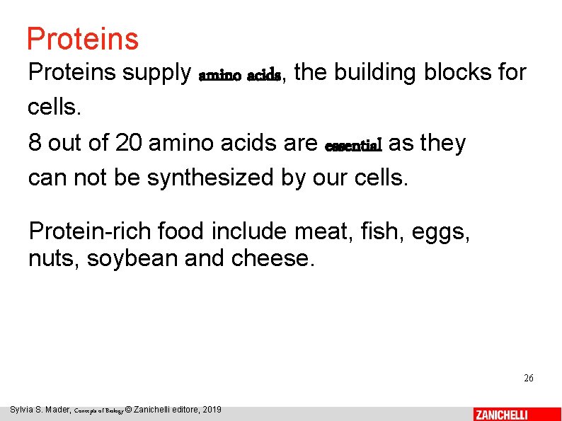 Proteins supply amino acids, the building blocks for cells. 8 out of 20 amino