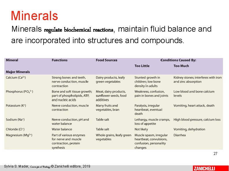 Minerals regulate biochemical reactions, maintain fluid balance and are incorporated into structures and compounds.