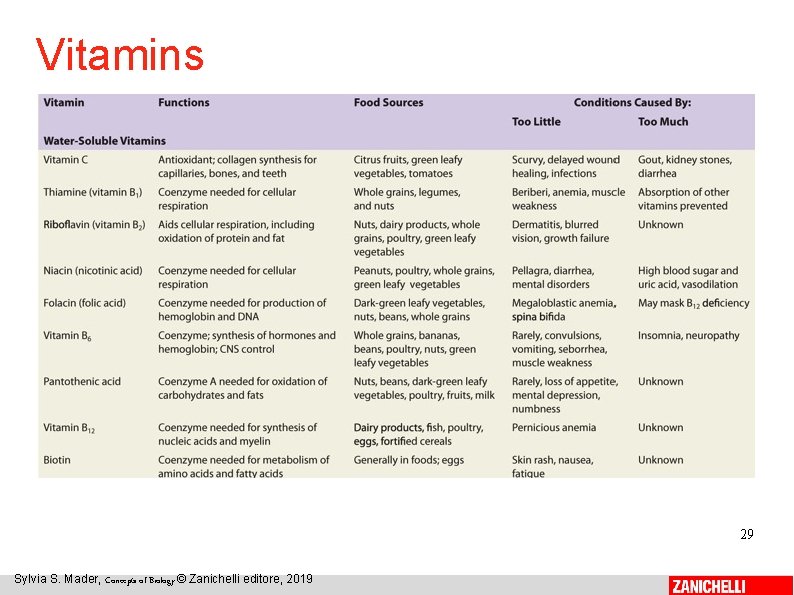 Vitamins 29 Sylvia S. Mader, Concepts of Biology © Zanichelli editore, 2019 