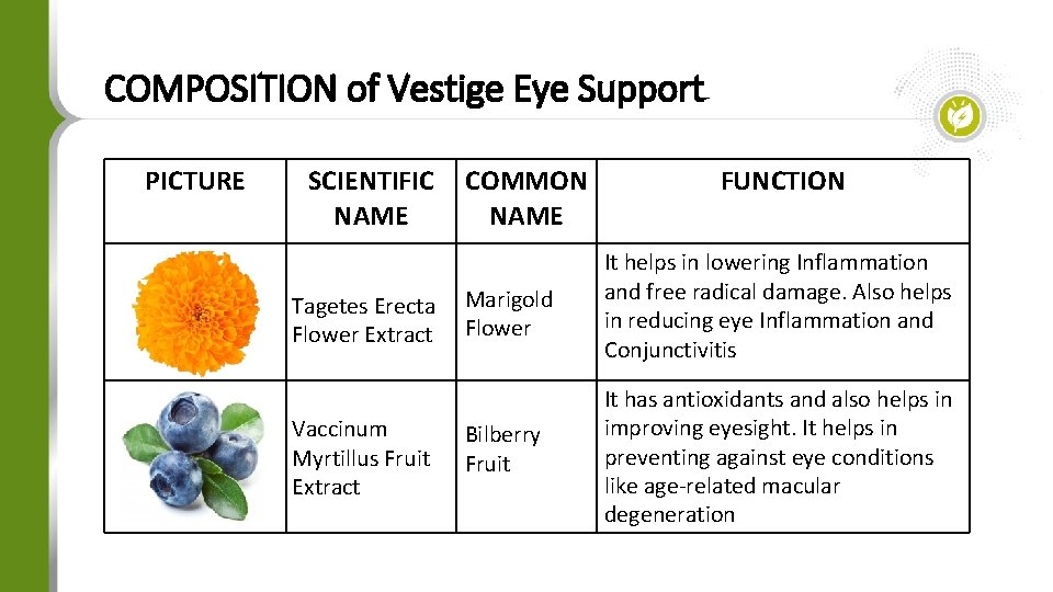 COMPOSITION of Vestige Eye Support PICTURE SCIENTIFIC NAME COMMON NAME FUNCTION Tagetes Erecta Marigold