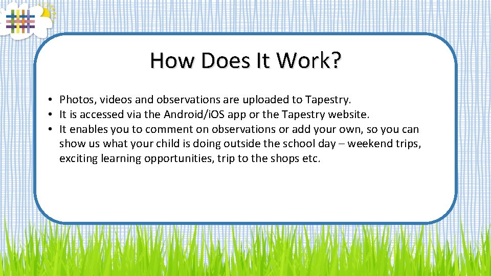 How Does It Work? • Photos, videos and observations are uploaded to Tapestry. •