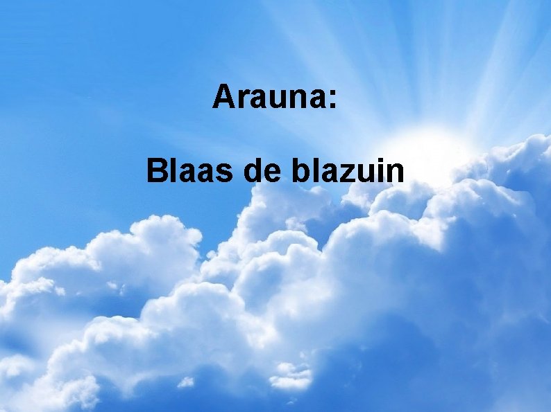 Arauna: Blaas de blazuin 