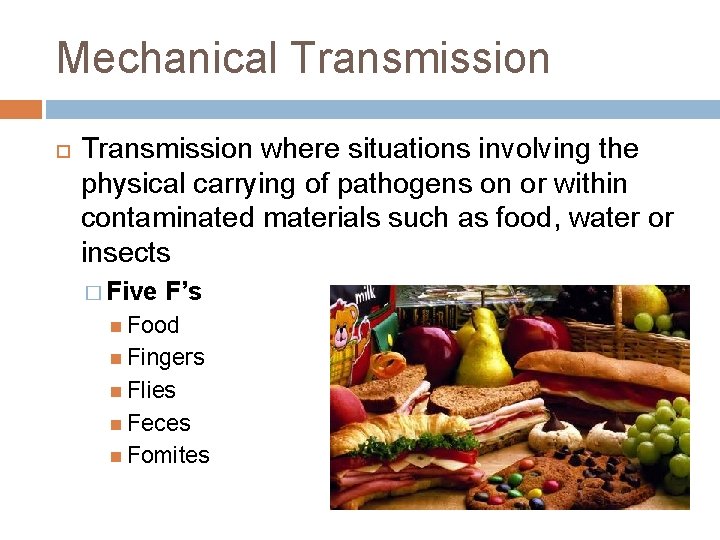 Mechanical Transmission where situations involving the physical carrying of pathogens on or within contaminated