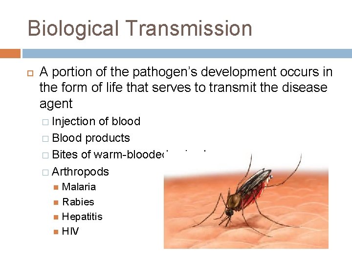 Biological Transmission A portion of the pathogen’s development occurs in the form of life