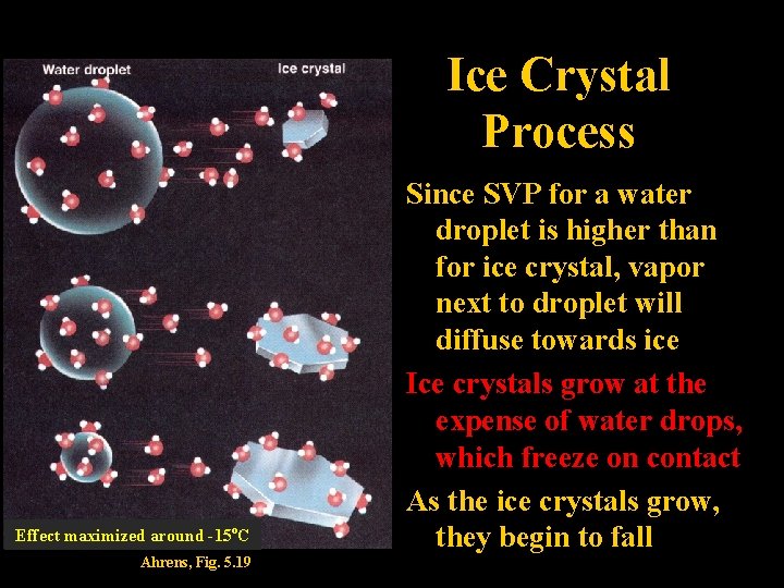 Ice Crystal Process Effect maximized around -15 o. C Ahrens, Fig. 5. 19 Since