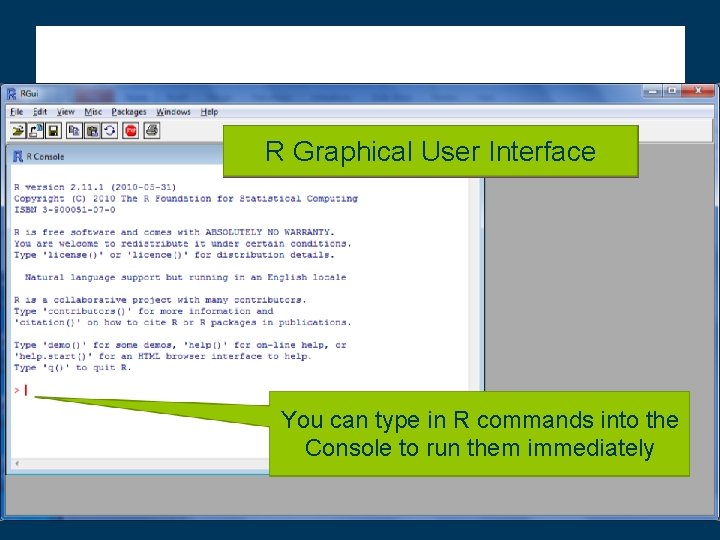 R R Graphical User Interface You can type in R commands into the Console