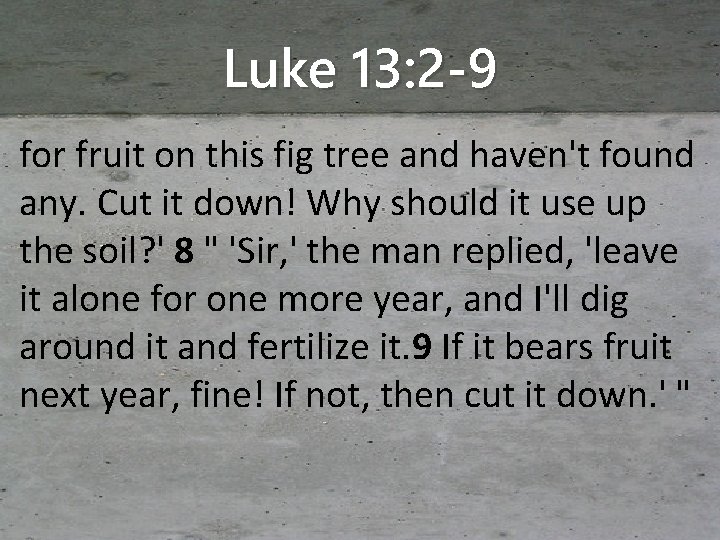 Luke 13: 2 -9 for fruit on this fig tree and haven't found any.