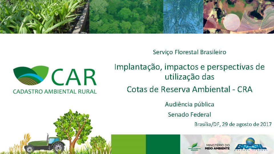 Serviço Florestal Brasileiro Implantação, impactos e perspectivas de utilização das Cotas de Reserva Ambiental