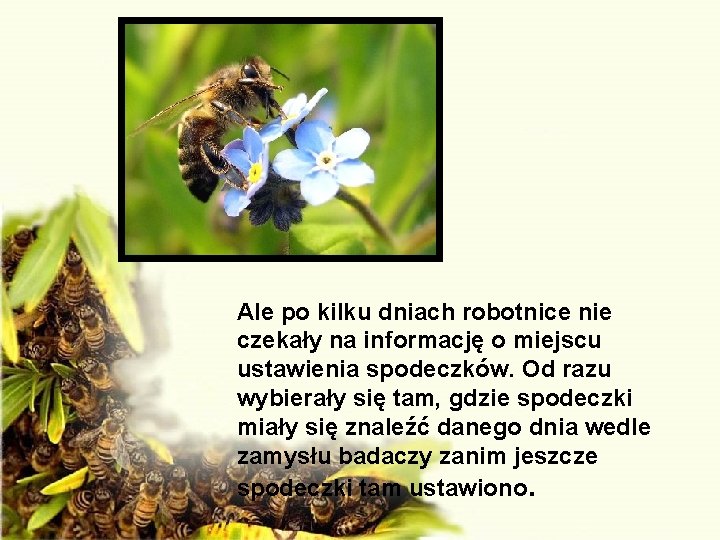 Ale po kilku dniach robotnice nie czekały na informację o miejscu ustawienia spodeczków. Od