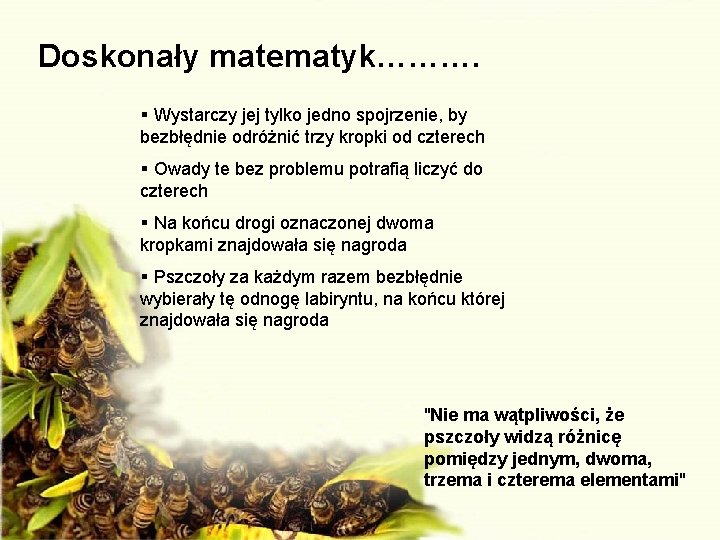 Doskonały matematyk………. § Wystarczy jej tylko jedno spojrzenie, by bezbłędnie odróżnić trzy kropki od