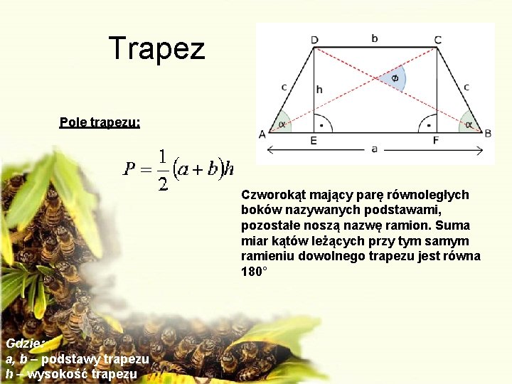 Trapez Pole trapezu: Czworokąt mający parę równoległych boków nazywanych podstawami, pozostałe noszą nazwę ramion.