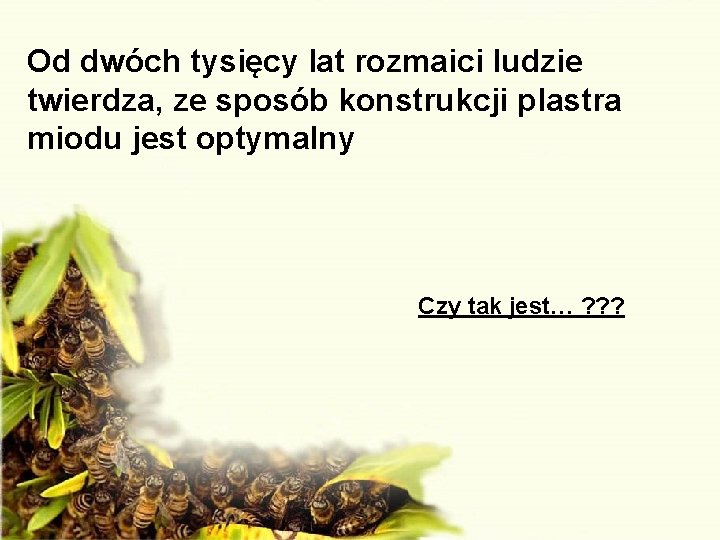 Od dwóch tysięcy lat rozmaici ludzie twierdza, ze sposób konstrukcji plastra miodu jest optymalny