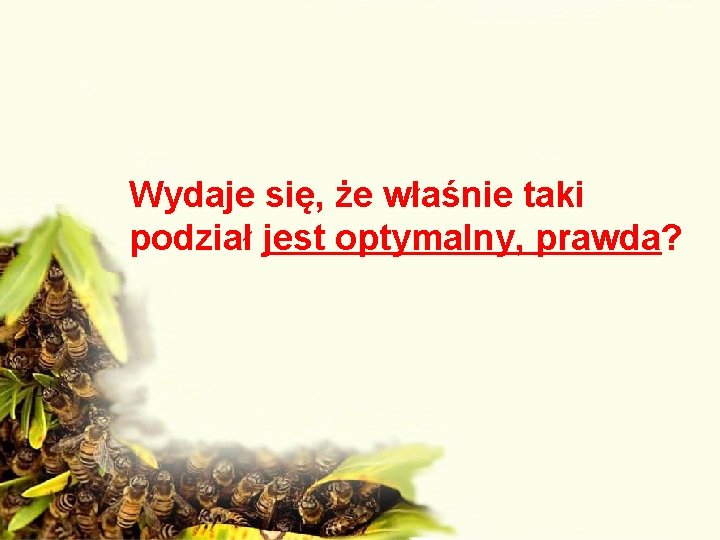 Wydaje się, że właśnie taki podział jest optymalny, prawda? 
