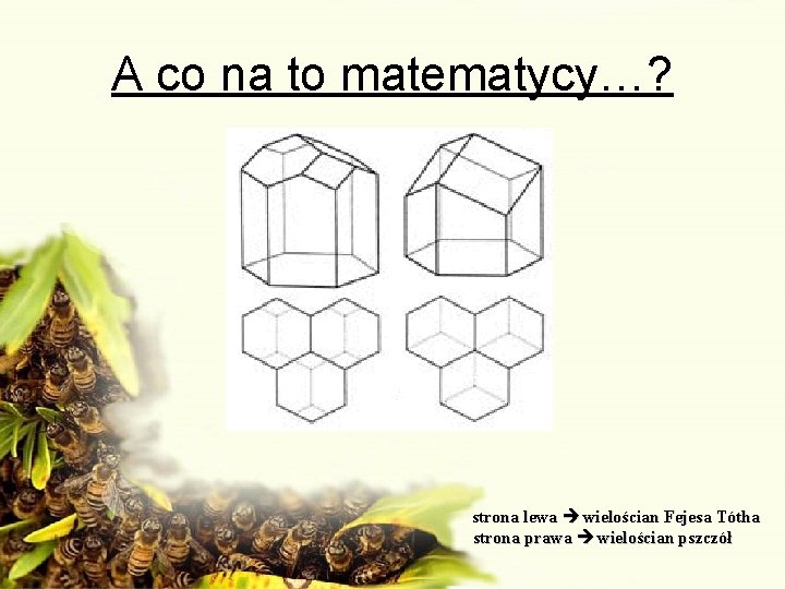 A co na to matematycy…? strona lewa wielościan Fejesa Tótha strona prawa wielościan pszczół