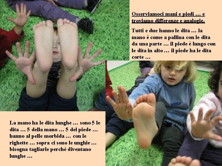Osserviamoci mani e piedi … e troviamo differenze e analogie. Tutti e due hanno